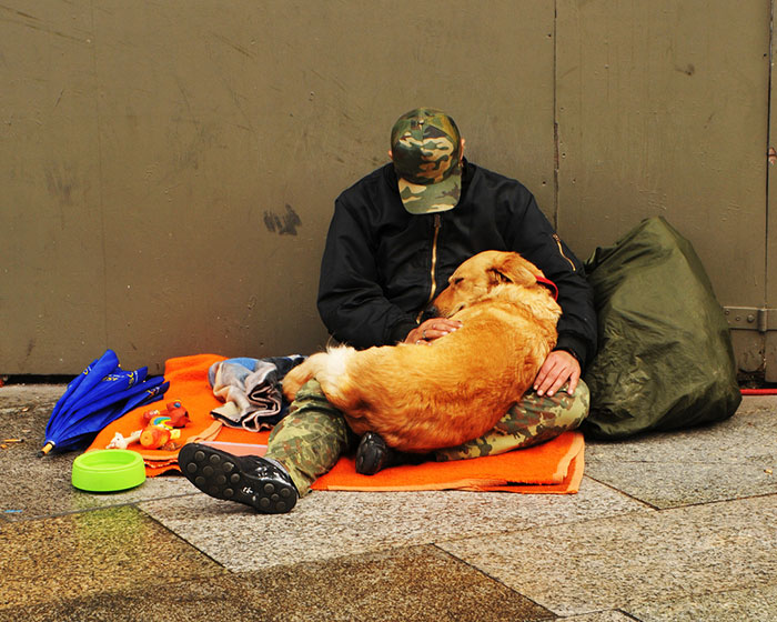 Hajléktalanok és kutyáik: 15 megható fotó, ami bebizonyítja, hogy a szeretethez nem kell pénz