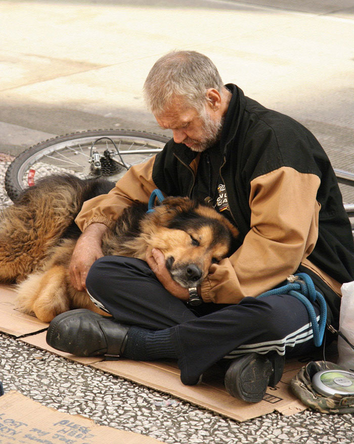 Hajléktalanok és kutyáik: 15 megható fotó, ami bebizonyítja, hogy a szeretethez nem kell pénz