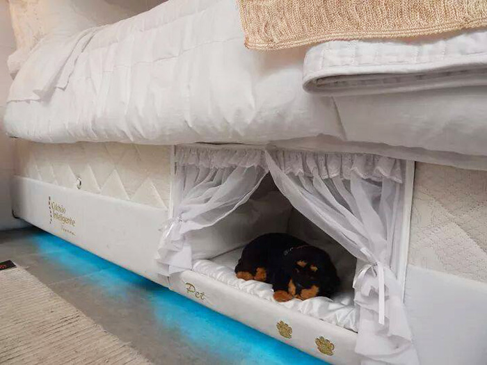 Megérkezett az ideális matrac kedvencednek és neked - beépített kutyaággyal