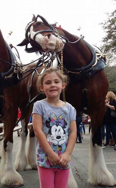 Vicces kedvű ló photbombolta a kislányt