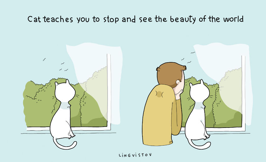 Miért jó, ha van macskád? Ezek a cuki rajzok megmutatják!