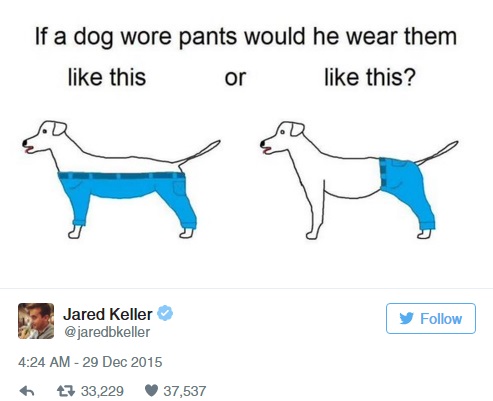 Így kell nadrágot hordani a kutyáknak
