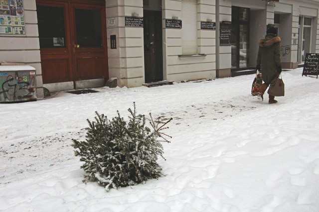 Kihajított karácsonyfákkal vannak tele az utcák