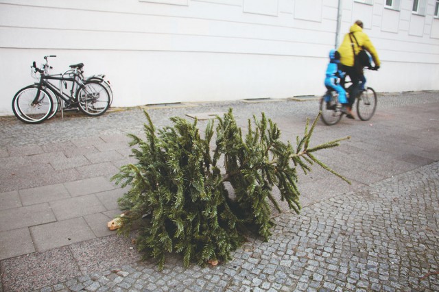 Kihajított karácsonyfákkal vannak tele az utcák