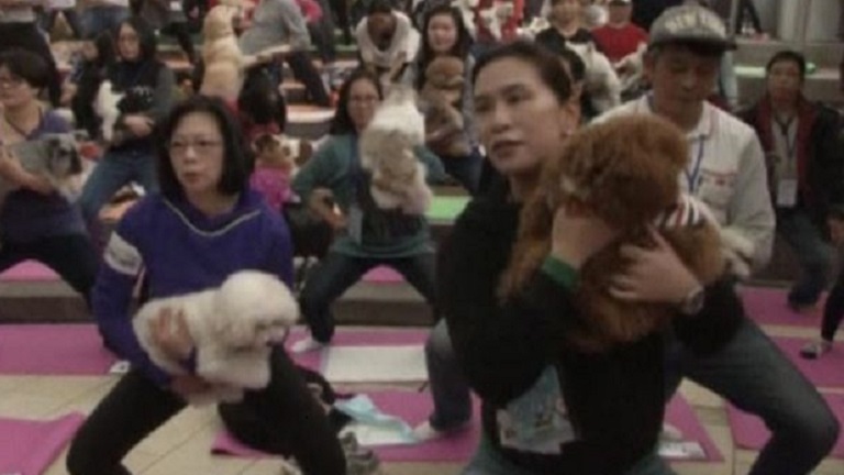 270-en jógáztak a kutyájukkal együtt Hong Kongban