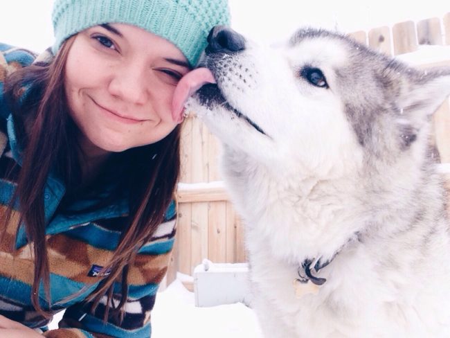20 állat, aki úgy örül a havazásnak, hogy azt muszáj megnézned - vicces képek