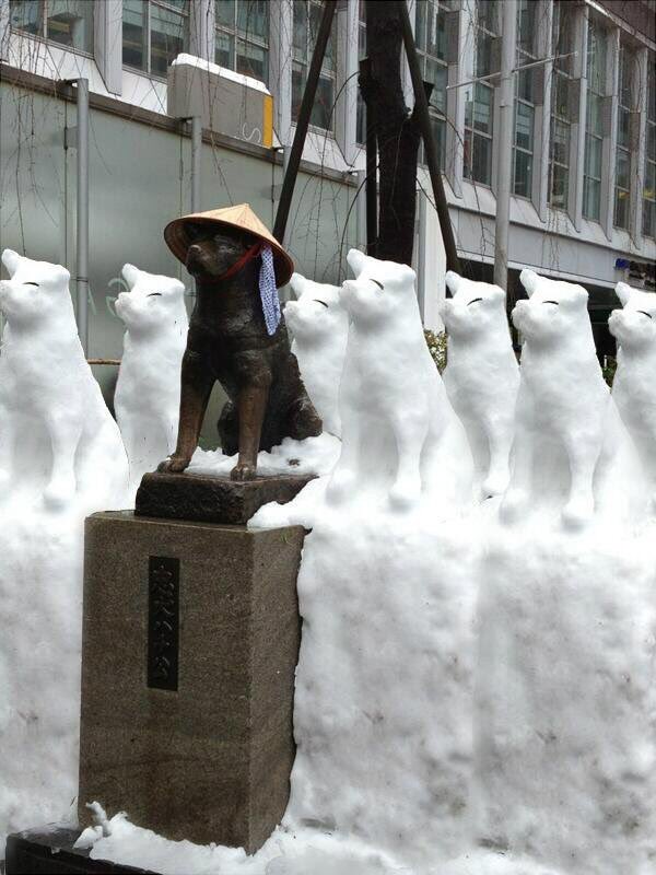 Hókutyákat építettek a híres japán eb szobra mellé