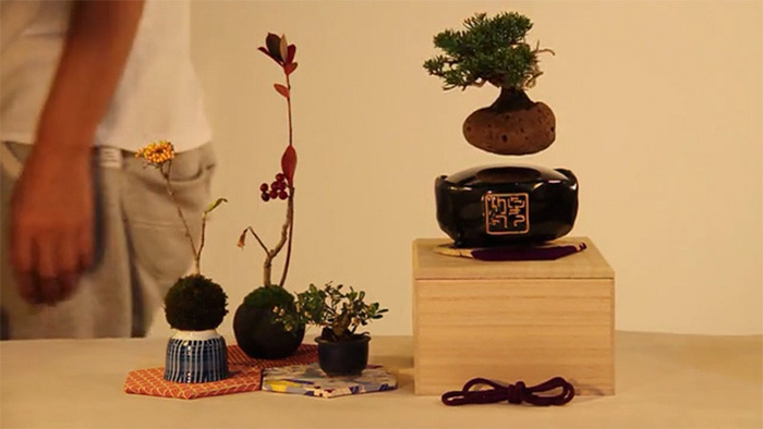 Dekoráld otthonodat lebegő bonsai fákkal