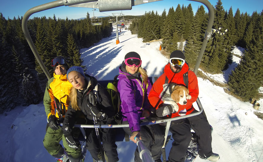 Imádja a havat a snowboardos beagle