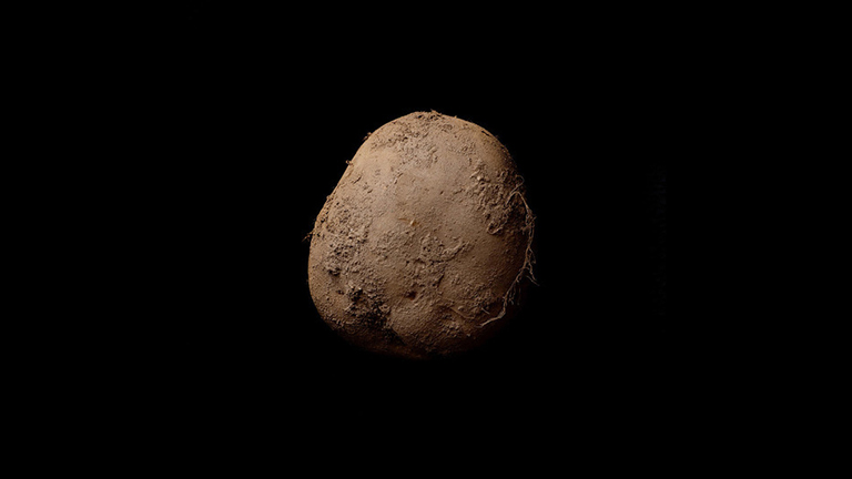 Egymillió euróért kelt ez az organikus krumpli fotója