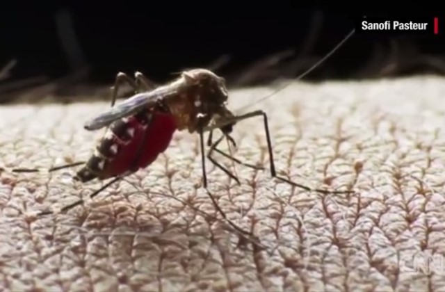 Már több európai országban is azonosították a Zika vírust