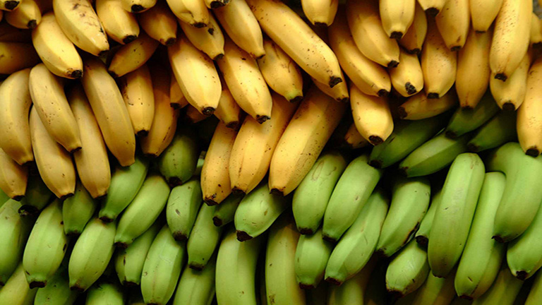 5 tény, amit biztosan nem tudtál a banánról