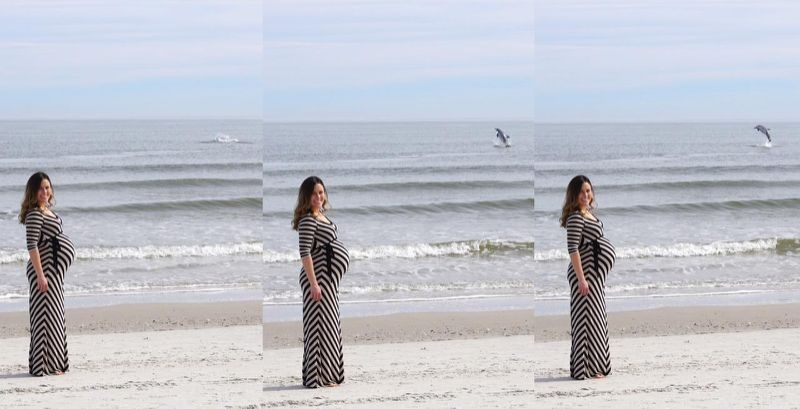Delfin trollkodta szét a terhes kismama fotózását - képek
