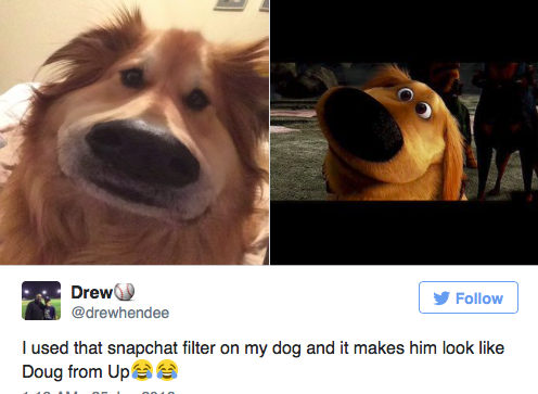 Ezzel a Snapchat filterrel rajzfilmkutyát csinálhatsz kedvencedből