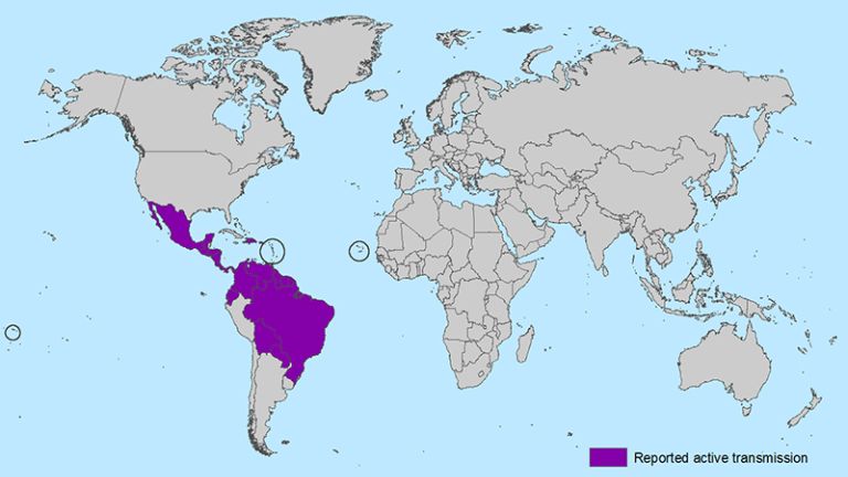 A Zika-vírus által sújtott országokat többnyire hívő katolikusok lakják