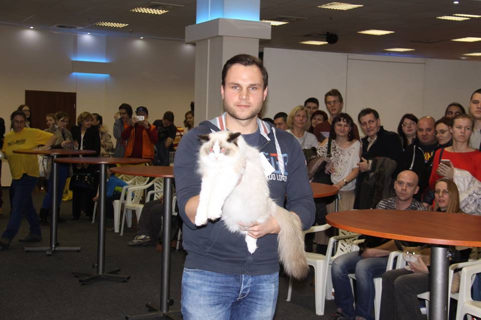 Lila macska lett a győztes a budapesti kiállításon