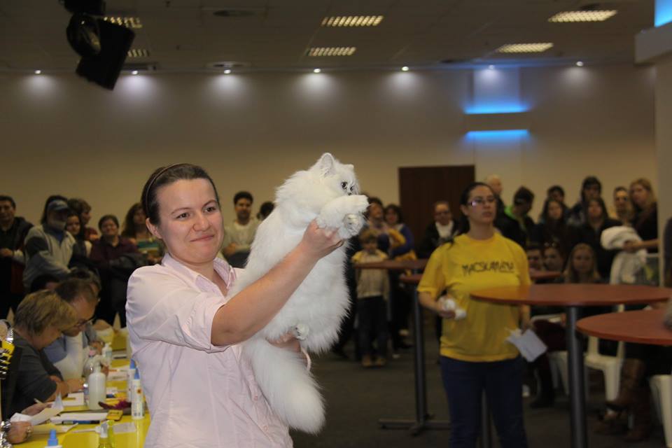 Lila macska lett a győztes a budapesti kiállításon
