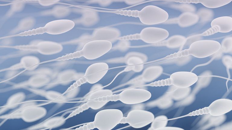 A korral nő a mutáns spermiumok száma