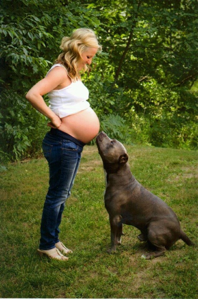 Kutyák, akik nagyon várják már a baba születését - fotók