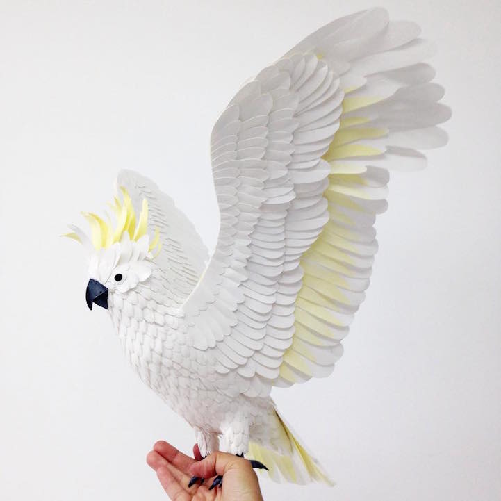 Zseniálisan élethű madarak papírból