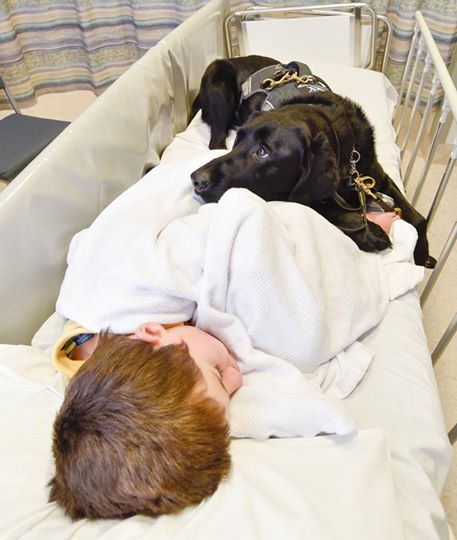 A kórházban sem tágít kis gazdája mellől a hűséges kutya - megható fotók