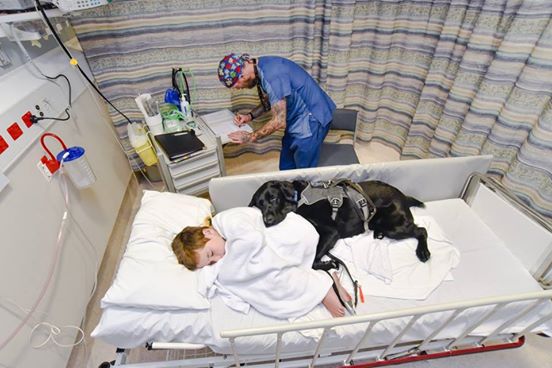 A kórházban sem tágít kis gazdája mellől a hűséges kutya - megható fotók