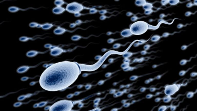 az emberi spermiumok öregedésgátló tulajdonságokkal rendelkeznek