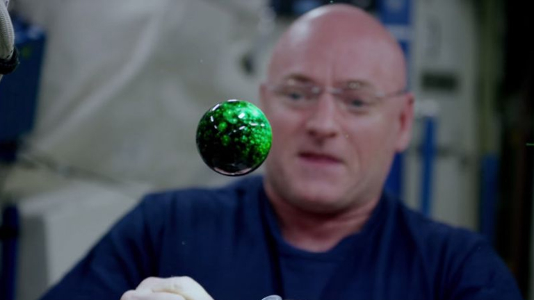 Kelly számos tudományos kísérlete során a földi iskolásokra is gondolt: ezen a képen éppen egy pezsgőtabletta működését demonstrálja űrbéli körülmények között (Fotó: NASA)