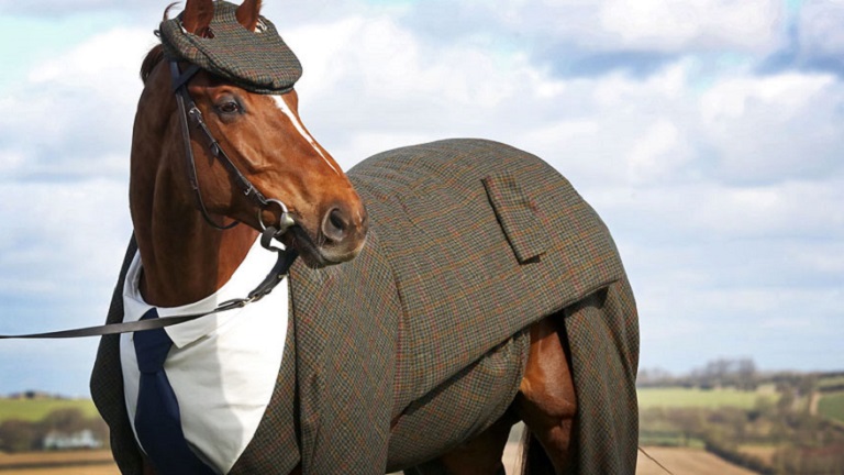 Ilyen elegáns lovat még nem láttál! -  képek