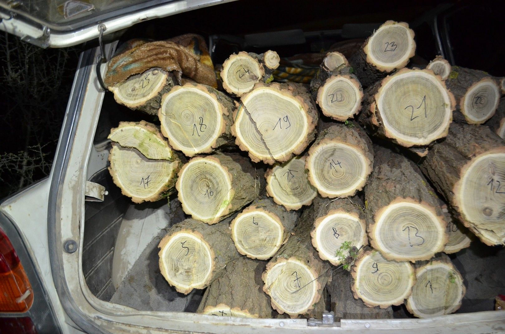 Úgy tűnik, egy Trabantba is befért a lopott fa. Fotó: police.hu