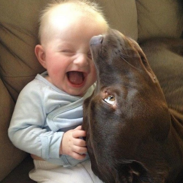 20 kedves kép a gyerekekről és kutyákról, akik őrülten cukik együtt