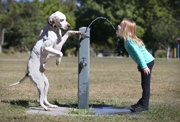 20 kedves kép a gyerekekről és kutyákról, akik őrülten cukik együtt