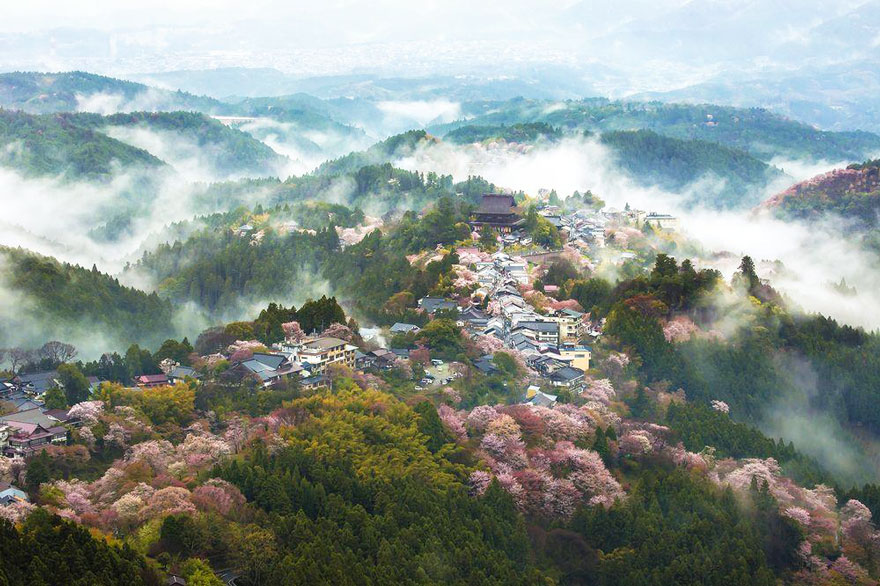 Csodálatos fotók a rózsaszínbe borult Japánról