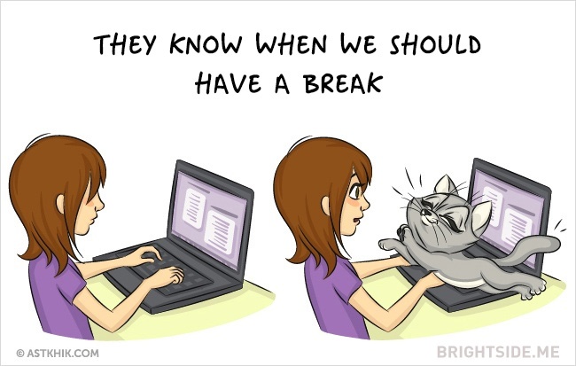 9 vicces illusztráció arról, hogy milyen az élet macska nélkül és macskával