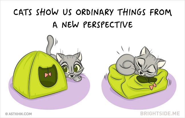 9 vicces illusztráció arról, hogy milyen az élet macska nélkül és macskával