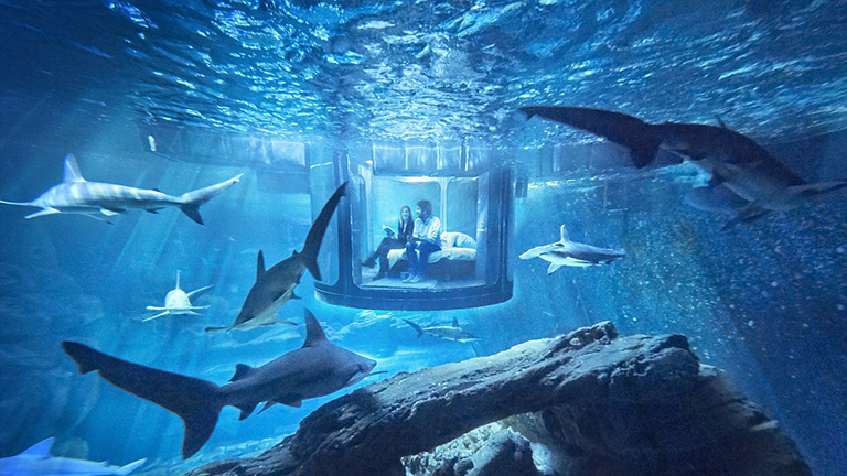 Már különleges, víz alatti szobát is foglalhatsz Airbnb-n