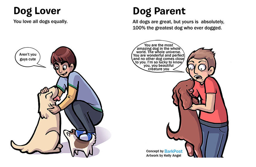 Vicces illusztrációk mutatják be, hogy milyen az élet kutya nélkül és kutyával