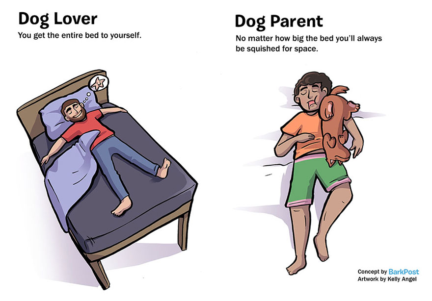Vicces illusztrációk mutatják be, hogy milyen az élet kutya nélkül és kutyával