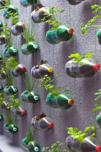 7 szuperkreatív függőleges kert ötlet