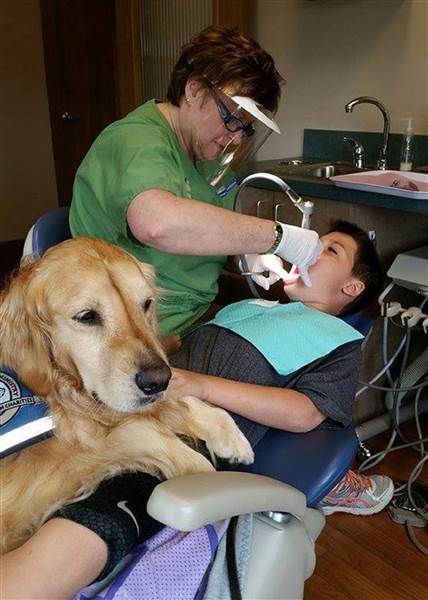 Ismerd meg a kutyát, aki megszeretteti a gyerekekkel a fogorvost - cuki képek