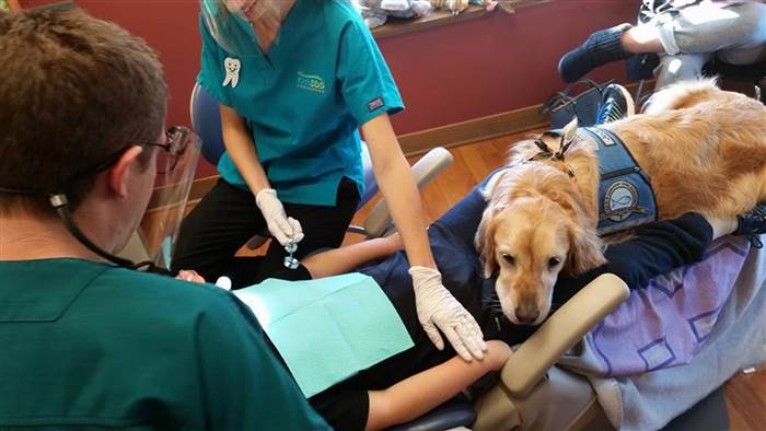 Ismerd meg a kutyát, aki megszeretteti a gyerekekkel a fogorvost - cuki képek