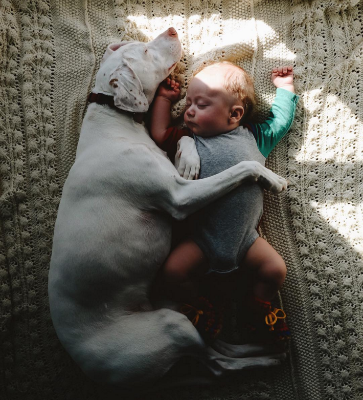 Egy kisbaba és a mentett kölyökkutya az Instagram legújabb sztárja