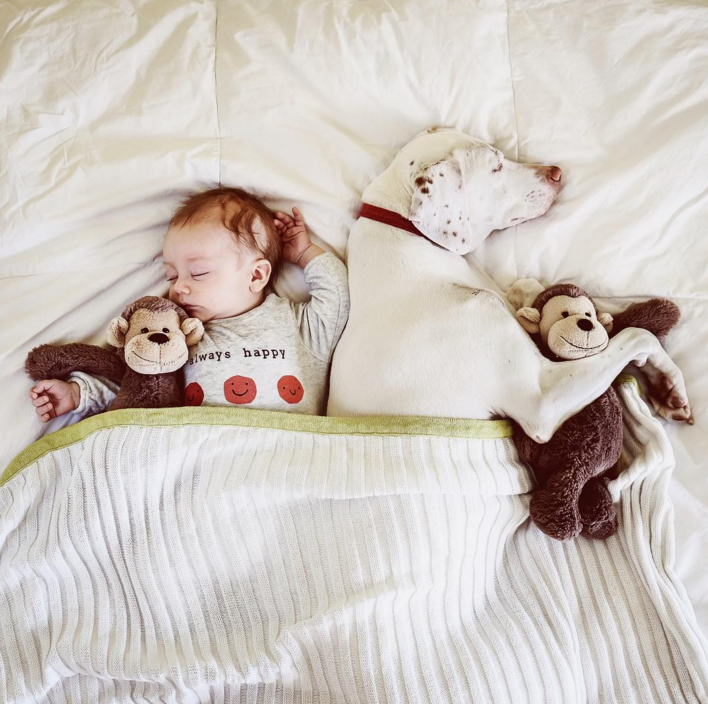 Egy kisbaba és a mentett kölyökkutya az Instagram legújabb sztárja