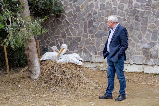 Páratlan páros: pelikánt pesztrál a prágai professzor