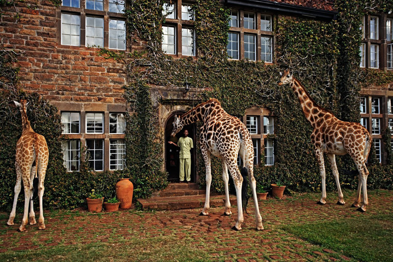 A vidámtemetőtől a zsiráfhotelig: a legszokatlanabb látványosságok szerte a világon