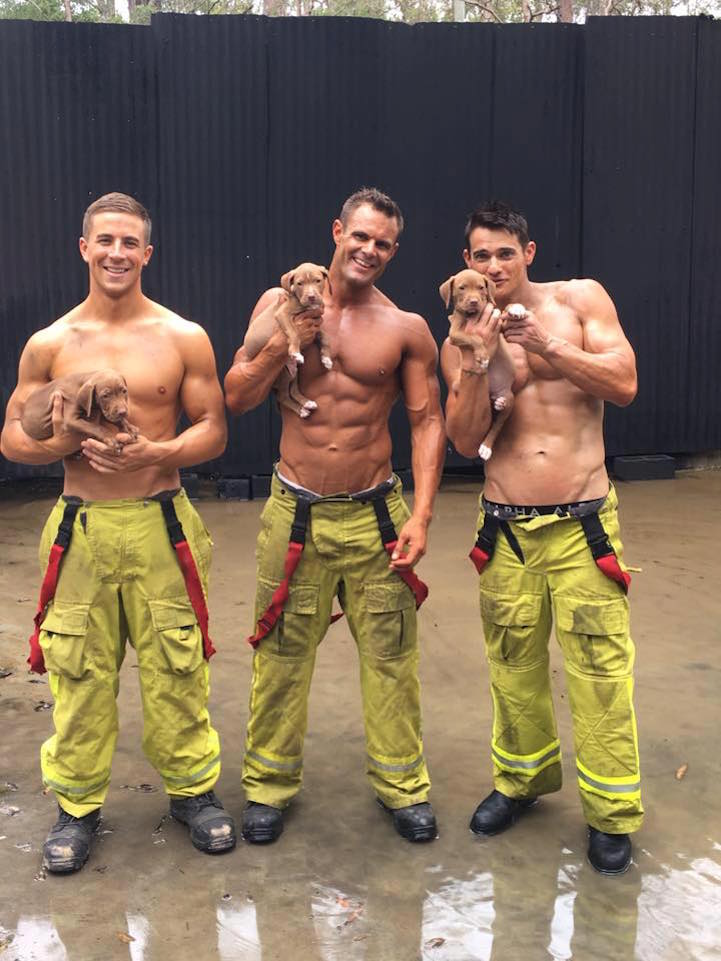 Jótestű tűzoltók segítenek a kiskutyáknak gazdára találni
