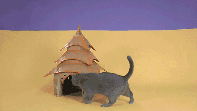 Az egész világot elhozhatod a macskádnak a kartonból készült házikókkal - képek
