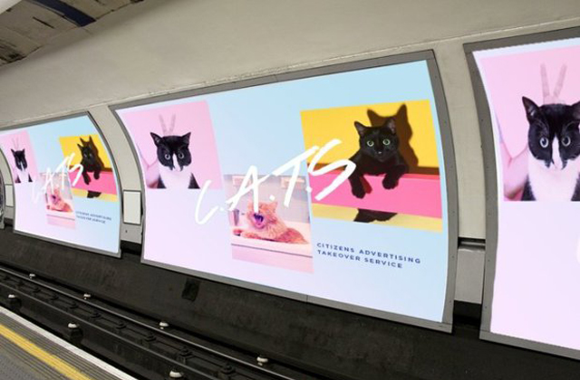 Macskás képekre cserélnék a reklámokat a metróban