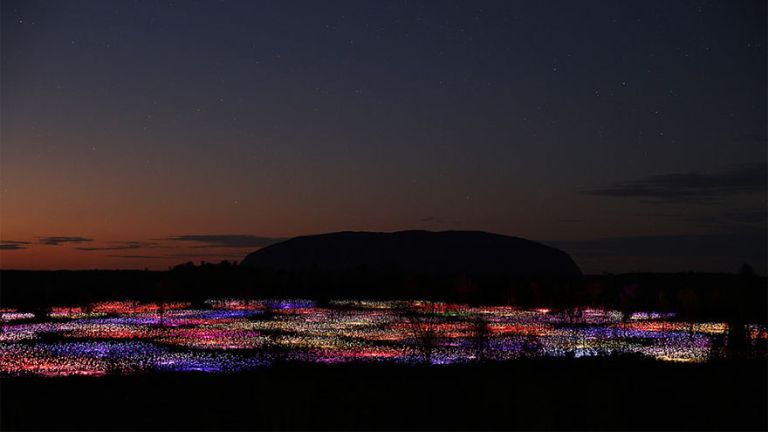 Tízezernyi lámpásból varázsol virágmezőket egy művész