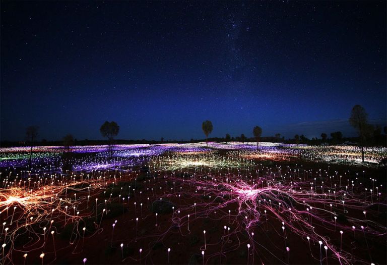 Tízezernyi lámpásból varázsol virágmezőket egy művész